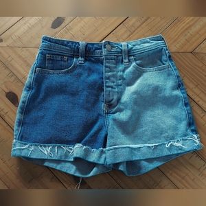 Hollister Two Tone Shorts